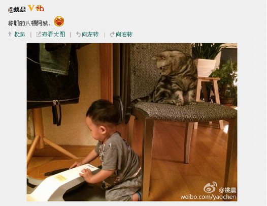 地宝君