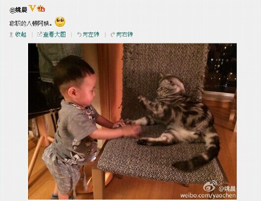 地宝君