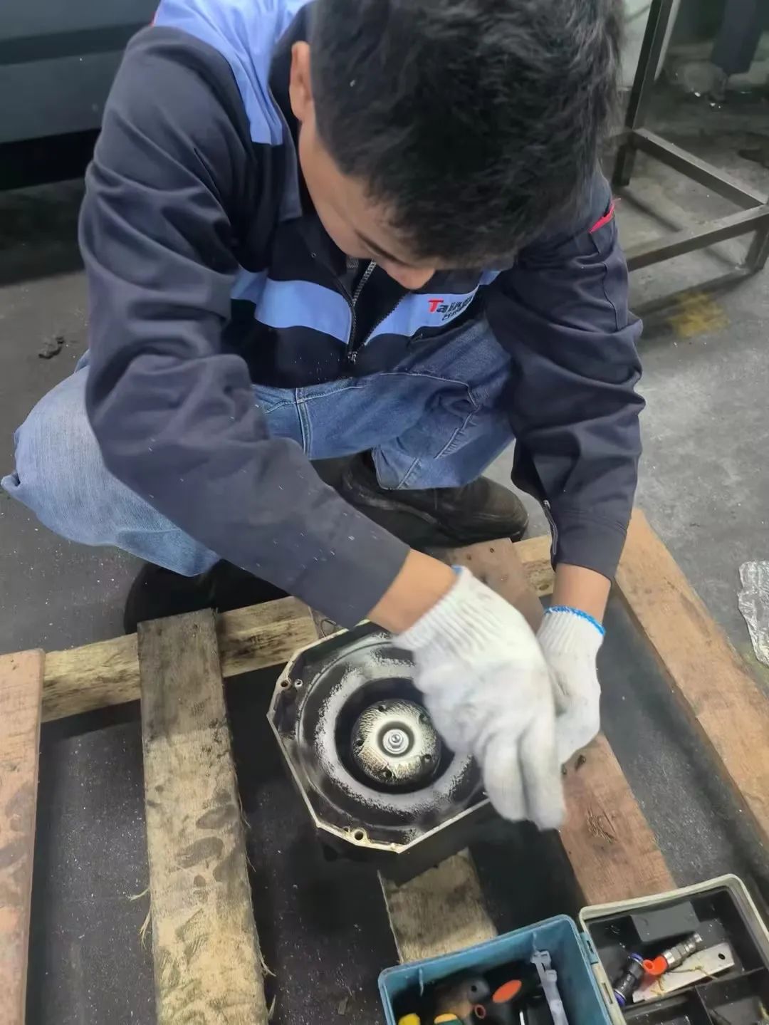 辉达娱乐