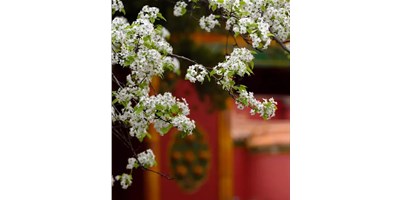 【展会资讯】杏盛娱乐5月展会一览，等您来参观！